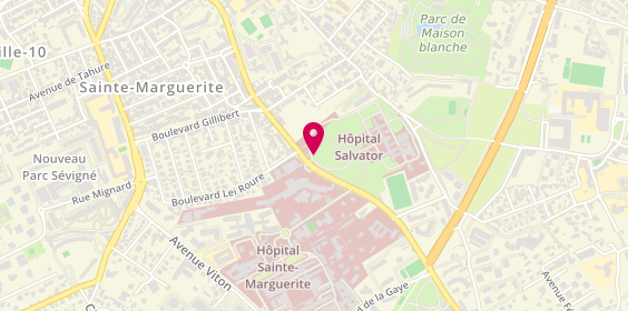 Plan de Hopital Louis Salvator, 249 Boulevard de Sainte-Marguerite, 13009 Marseille