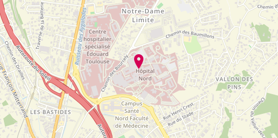Plan de Hôpital Nord, chemin des Bourrely, 13015 Marseille