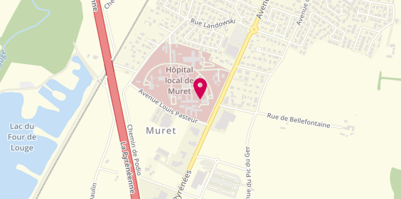 Plan de Centre Hospitalier de Muret, 116 avenue Louis Pasteur, 31600 Muret