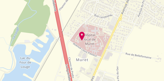 Plan de Centre Accueil de Jour Unite Geriatrique, 116 Avenue Louis Pasteur, 31600 Muret