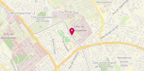 Plan de Gui de Chauliac, 2 Avenue Emile Bertin Sans, 34090 Montpellier