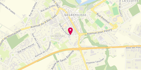 Plan de Centre Hospitalier Ex H L de Negrepelisse, 355 Rue des Fosses, 82800 Nègrepelisse