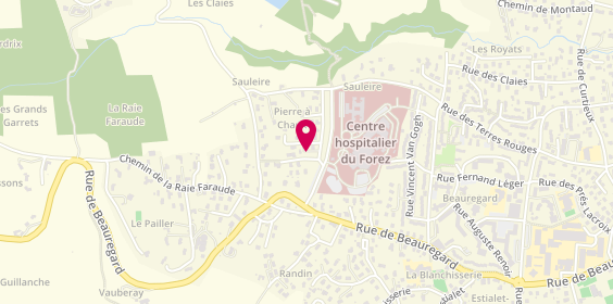 Plan de Secours Medicaux d'Urgence, Avenue des Monts du Soir, 42600 Montbrison