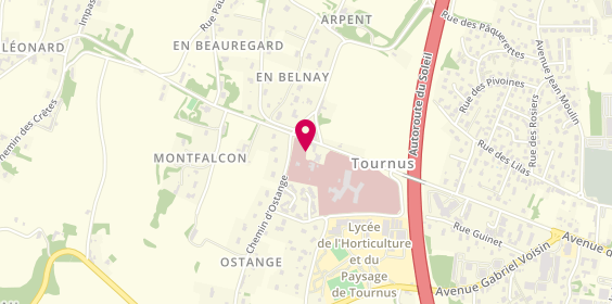 Plan de Hopital Local Belnay Tournus, 627 Avenue Henri et Suzanne Vivier, 71700 Tournus