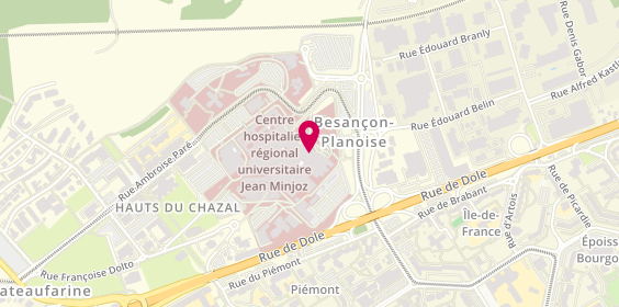 Plan de Chu Besancon, 3 Boulevard Alexandre Fleming, 25000 Besançon