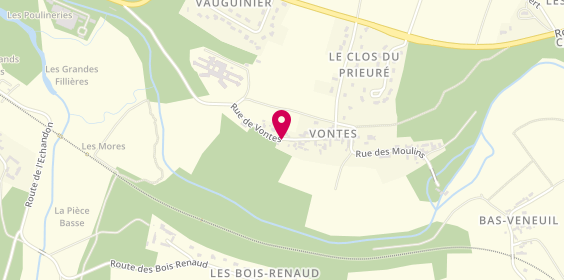 Plan de Cliniques Vontes et Champgault, Domaine de Vontes
Lieu-Dit Vauguinier, 37320 Esvres Sur Indre