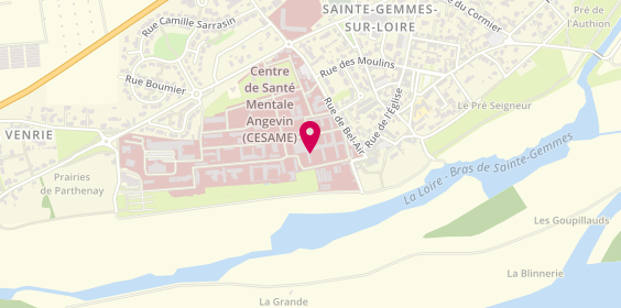Plan de HAD Saint-Sauveur, 27 Route de Bouchemaine, 49130 Sainte-Gemmes-sur-Loire