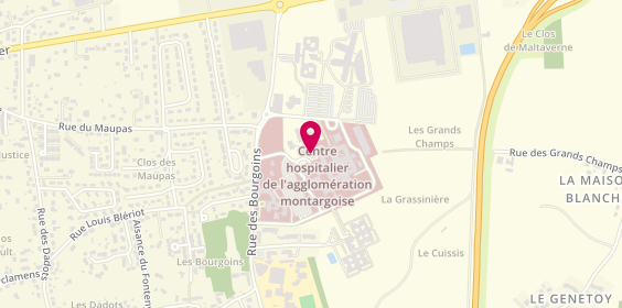 Plan de Centre Hospitalier de l'Agglomération Montargoise, 658 Rue des Bourgoins, 45200 Amilly
