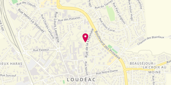 Plan de Site de Loudeac Ssr Polyvalents, Rue de la Chesnaie, 22600 Loudéac