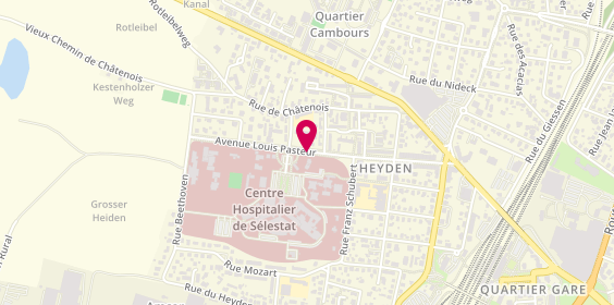 Plan de Groupe Hospitalier Selestat Obernai, 23 Avenue Louis Pasteur, 67600 Sélestat